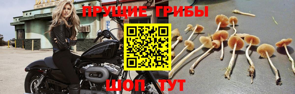 ГАШ  Усолье-Сибирское  Вход с VPN  Амфетамин   Кокаин  Где продают наркотики?  Канабис  Меф МЯУ МЯУ  