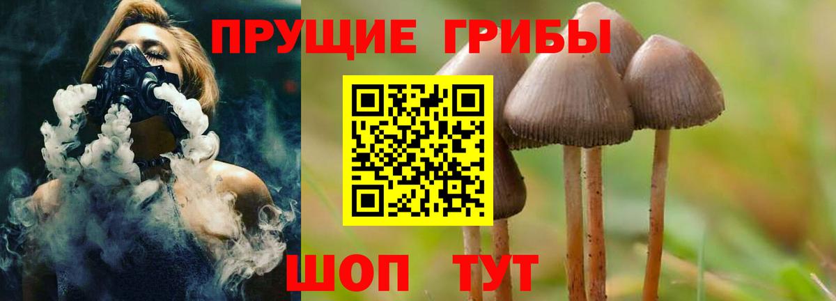 Псилоцибиновые грибы Cubensis Усолье-Сибирское